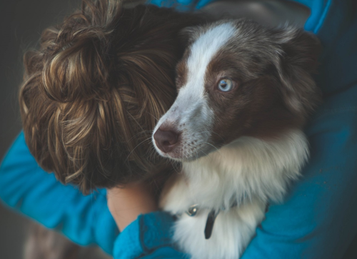 我很囧，你保重....曬曬旅行中的那些囧！